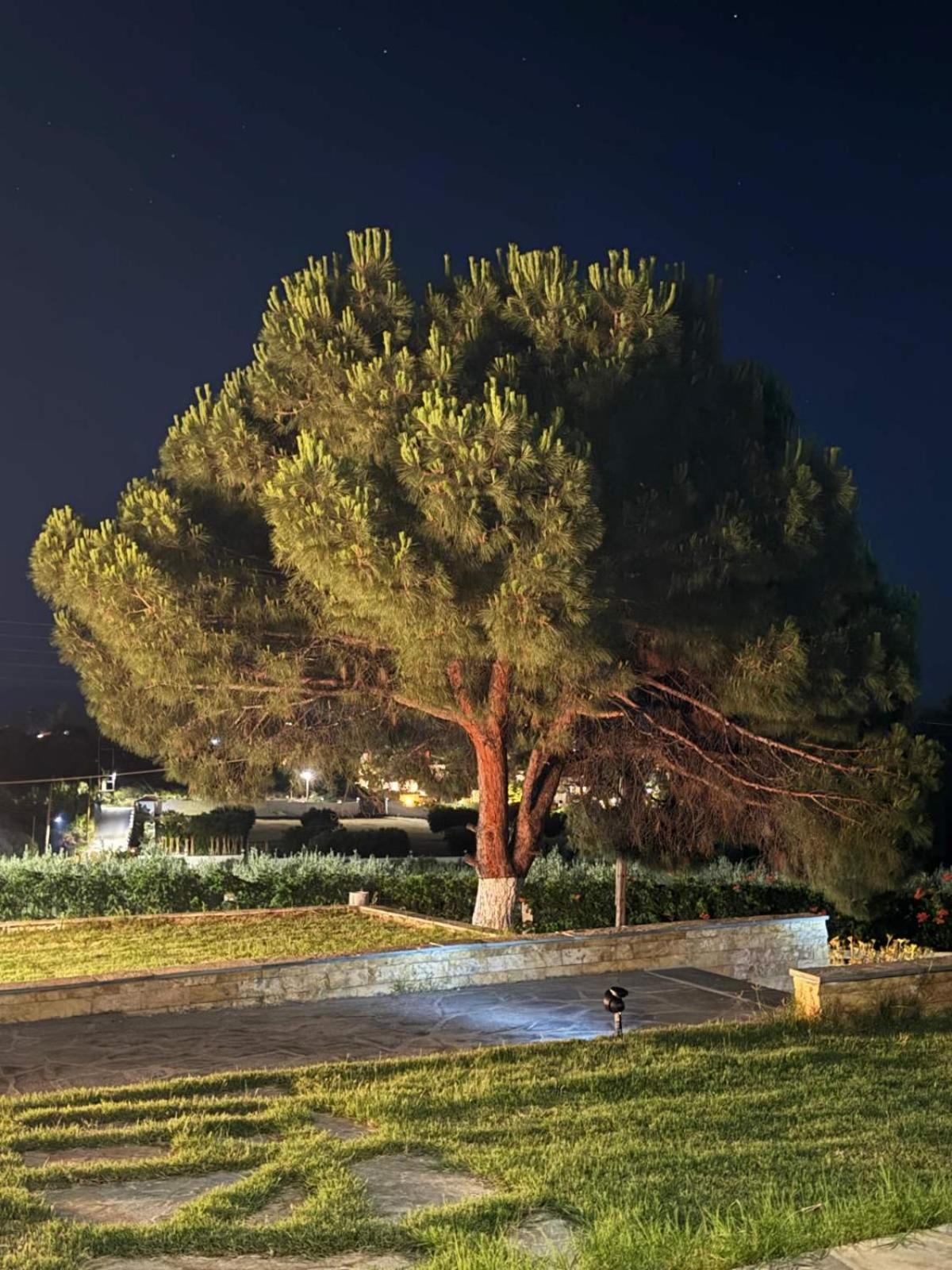 Villa Stadi 尼基季 外观 照片